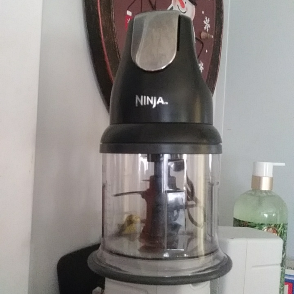 Ninja Black Food Processor